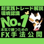 3名様限定二度と出品しない投資手法　Golden FX